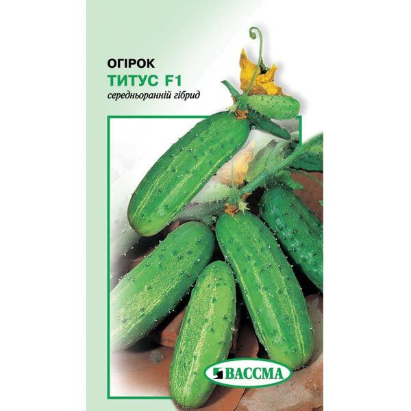 Насіння Огірок Титус F1 0.5 г