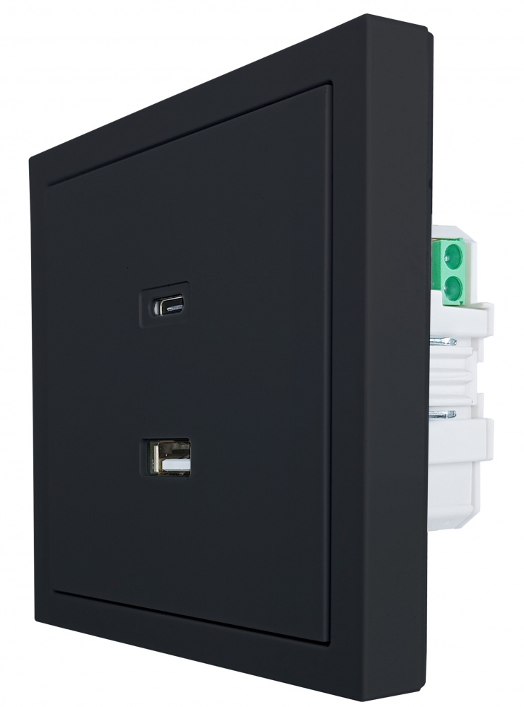 Механізм розетки USB + Type C HausMark Juna чорний