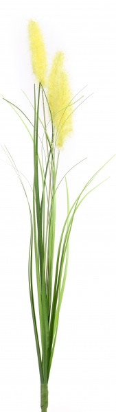 Веточка декоративная Камыш 40 см в ассортименте (Epi-TLY200309)