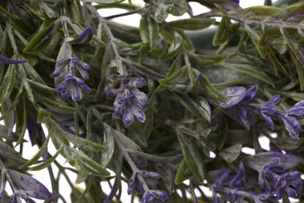 Венок Кампсис укореняющийся 30 см HONGYE Q66-0171