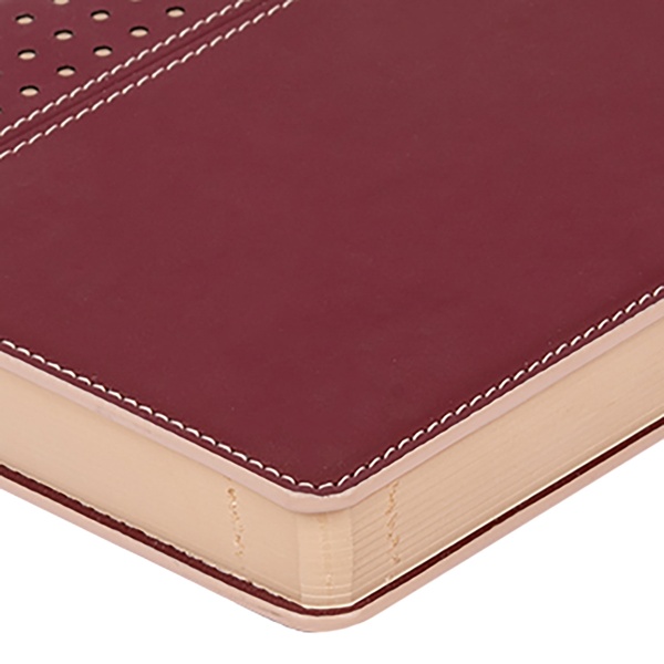 Щоденник датований червоний Leo Planner Destiny A5 2022