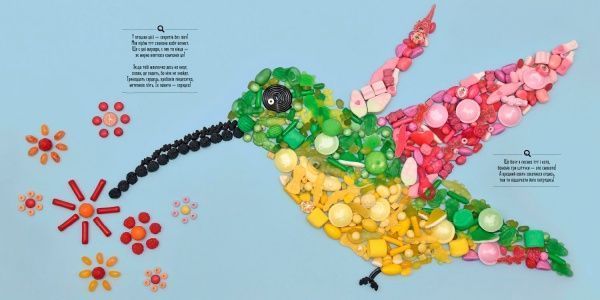 Книга «Книга. Я бачу! А ти? Невгамовний зоопарк»