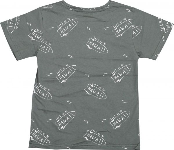 Футболка для хлопчиків Фламінго р.164 хакі 864-124 