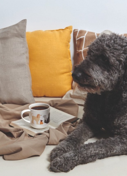 Чашка Пушистые собаки 400 мл 19447014 ASA