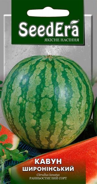 Семена Seedera арбуз Широнинский 1г