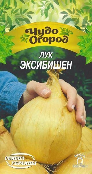 Насіння Семена Украины цибуля ріпчаста Ексібішен 663400 0,5г
