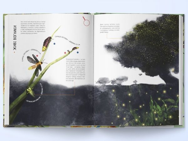 Книга Вальтер Фогато «Комахи на всі 100%» 978-617-791-415-9