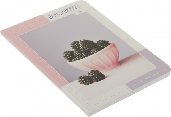 Книга для записей 80 листов А5