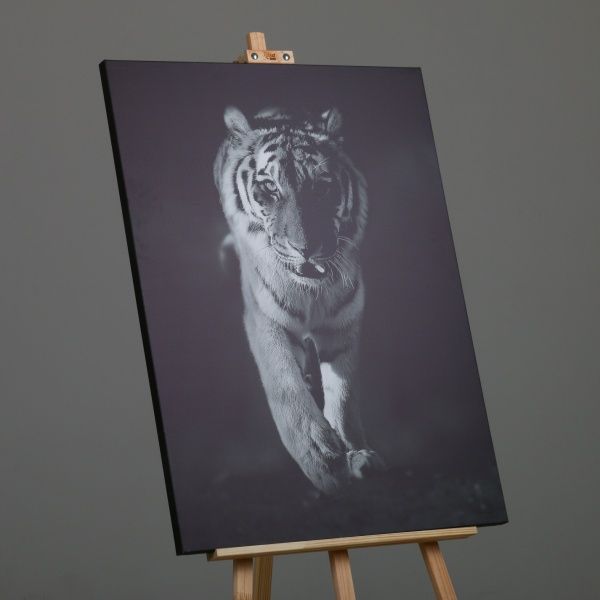 Репродукция Тигр 75x100 см Styler 