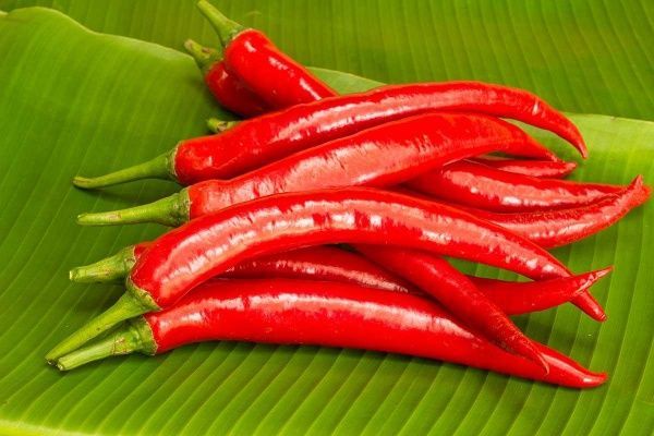 Семена Професійне насіння перец острый Ангарика F1 10 шт. (4823058206127)