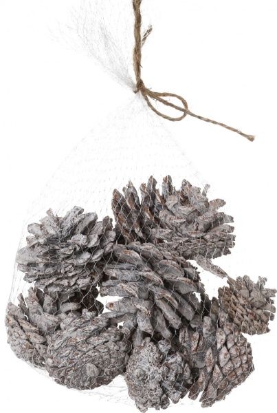 Набір шишок натуральні білі E5156411-W1G 15 шт./уп. 