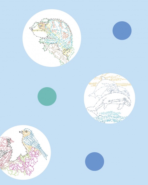 Раскраска по номерам Шейн Мэдден «Від точки до точки. Дикий рай» 978-617-7853-24-3