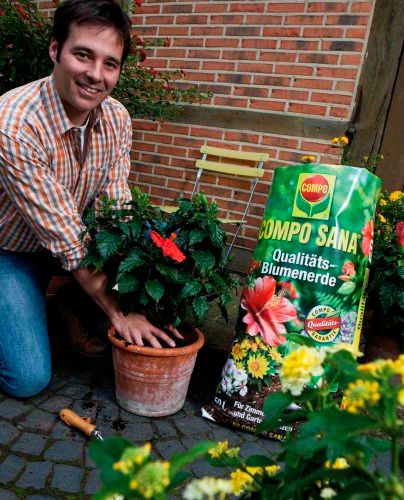 Торфосмесь универсальная Compo Sana 5 л + апликатор для зеленых расстений и пальм 30 мл 5 шт.