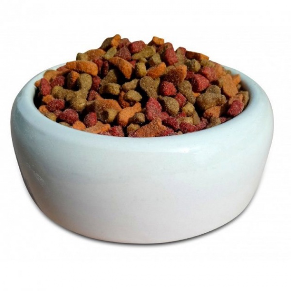 Корм сухий повноцінний для дорослих котів з птицею куркою та рибою Favorit 12023 10 кг