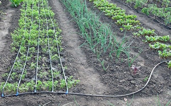 Набор для капельного полива 