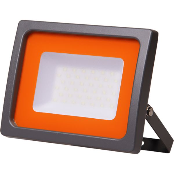 Прожектор Jazzway PFL-SC 30 Вт IP65 серый 5001404 