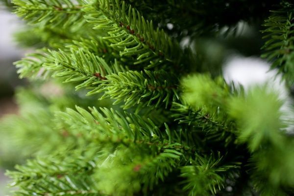 Елка искусственная Лора-150 литая хвоя зеленый 