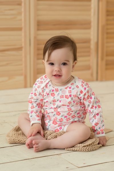 Боди детское ТМ Софія Flowers р.74 розовый 131274 