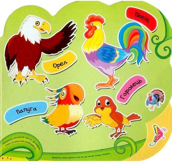 Книга «Книга Тварини та риби 2+»