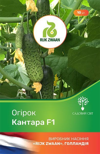 Семена Садовий Світ огурец Кантара F1