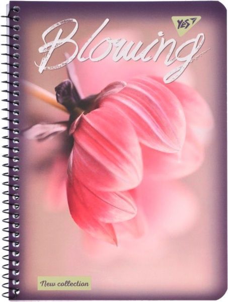 Книга для нотаток А5 80 YES