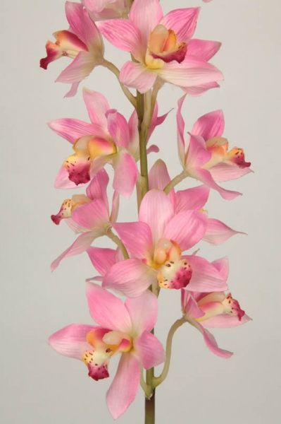 Рослина штучна Орхідея 2077 PK