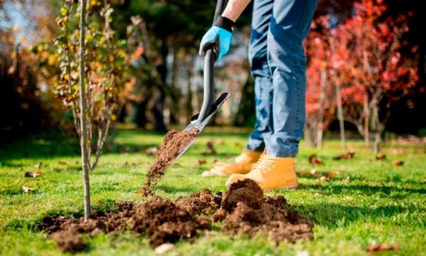 Лопата штыковая Cellfast NEW IDEAL LINE