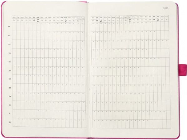 Щотижневик 2020 Partner Strong 8505-20-10-a рожевий Axent 42815 