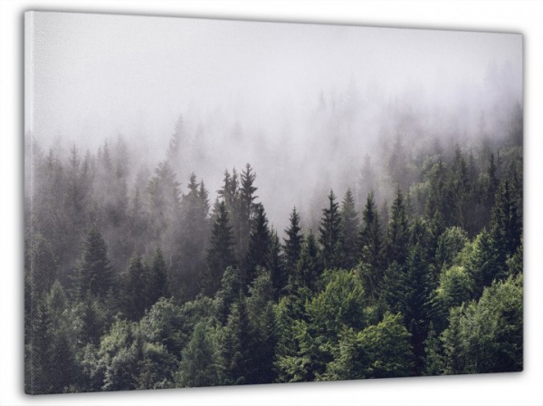 Картина на холсте Туманний лес 60x100 см Dekor-Karpaty ЕО240 