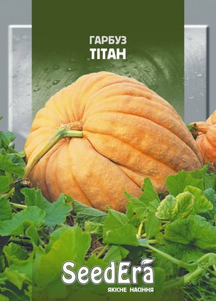 Насіння гарбуз Тітан 20г (4823073719992)