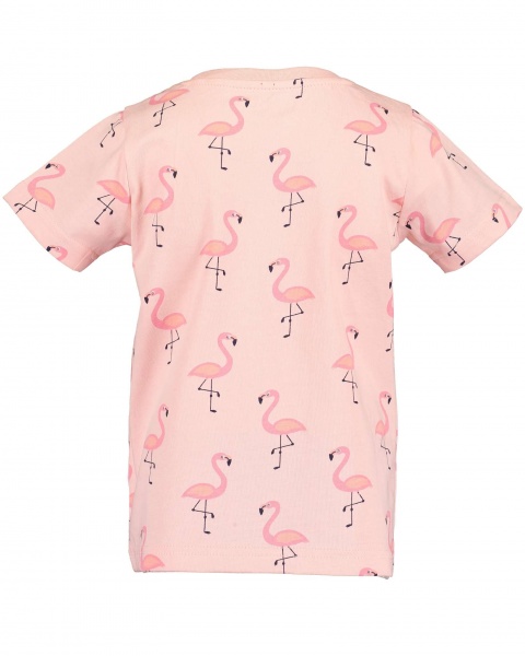 Комплект Blue Seven р.140 помаранчевий 537015 X_216_р.140 