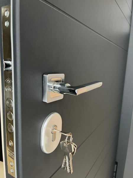 Дверь входная Tarimus Арина графит / дуб немо лате 2050х860 мм левая