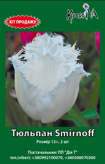Луковица KrassIVA тюльпан Smirnoff 2 шт. 