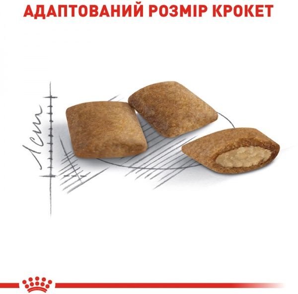 Корм Royal Canin Ageing +12 2 кг