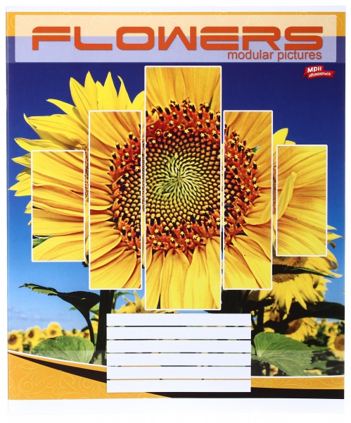 Зошит шкільний 24 аркуша у клітинку в асортименті Мрії збуваються