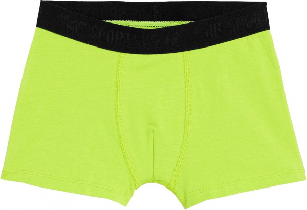 Плавки 4F BOXER SHORTS M026 (3PACK) 4FJAW23UBXSM026-90S разноцветный