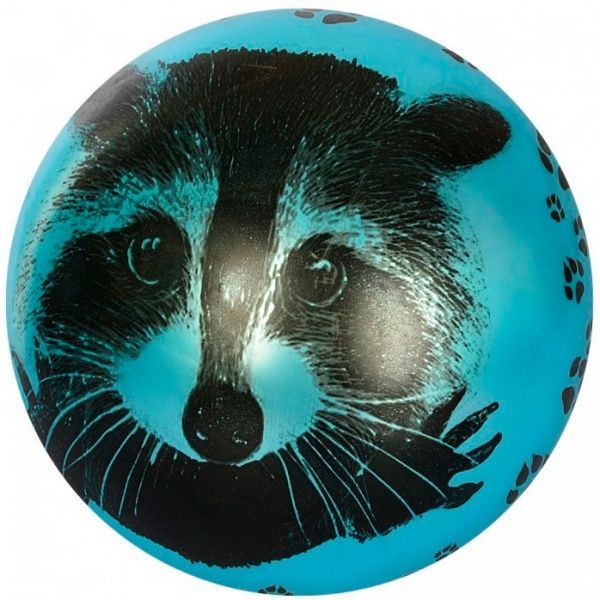 Мяч Енот (6 видов) в ассортименте 23 см MS 1899