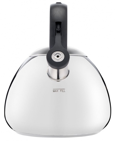 Чайник Kettle SS Induction 2.7 л K2481574 Tefal