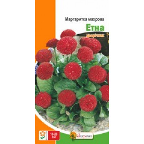 Семена Яскрава маргаритка Маргаритка махровая Этна (красная)