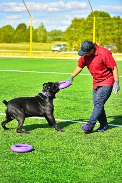 Снаряд тренувальний Puller Мaxi для собак 30 см