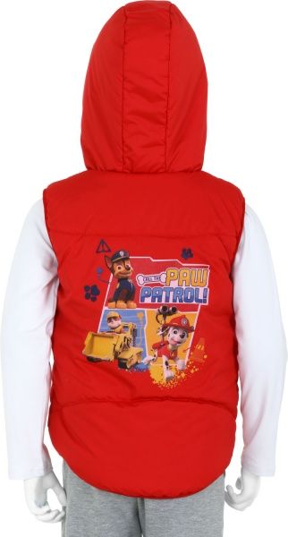 Жилет детский унисекс Соня с капюшоном р.116 красный Н0144 