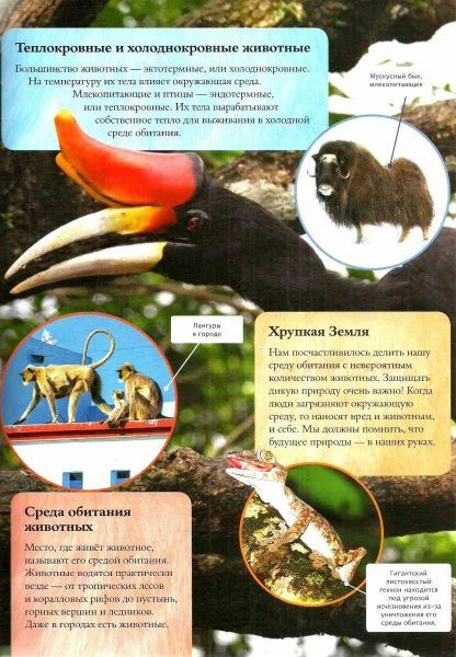 Книга Майкл Лич «Детская энциклопедия животных» 978-966-942-576-8