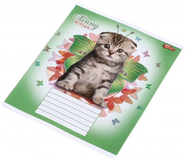 Тетрадь школьная с глитером 12 листов в клеточку в ассортименте Мечты сбываются