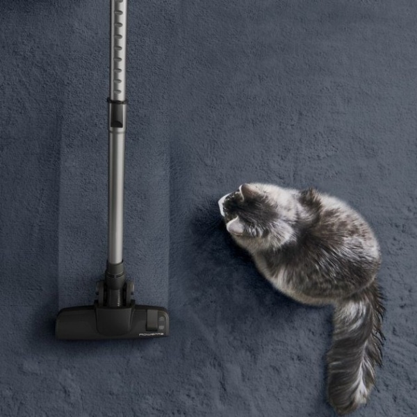 Пылесос Rowenta Green Force Cyclonic RO7C89EA black 