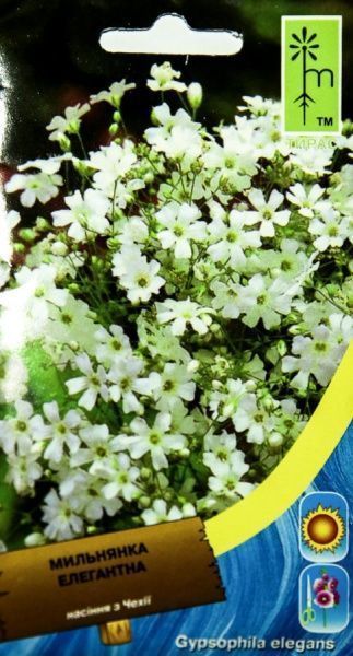 Семена MoravoSeeds мыльнянка элегантная белая 0,5 г