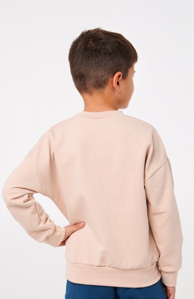 Толстовка для мальчика Smil р.140 бежевый 116548 