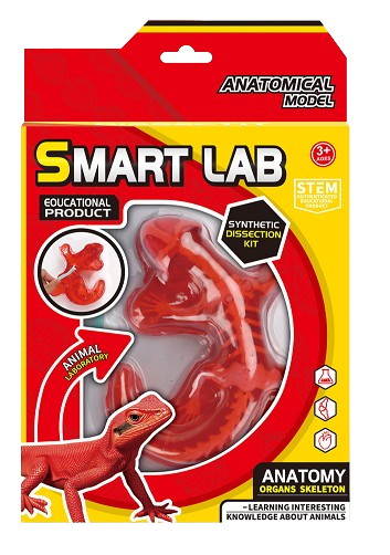 Набір дослідника Maya Toys Анатомія тварин Ящірка 803B