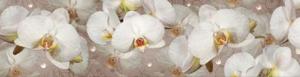 Наліпка на кухонний фартух Zatarga Орхідея та крапля роси 65x250 см