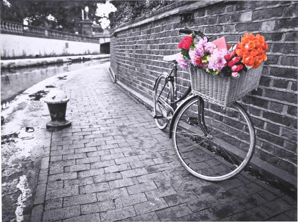 Репродукция 80х107 см AF20110827 Bicycles 171C02 RozenfeldArt 