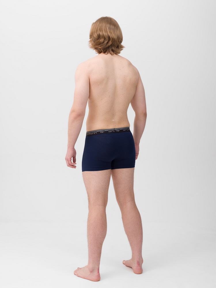 Труси чоловічі 4F 4FWSS24UBXSM036-31S S чорний